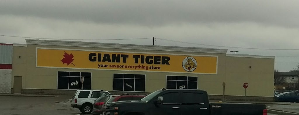 Giant Tiger | 1249 London Rd, Sarnia, ON N7S 4T3, Canada | Phone: (519) 337-0320