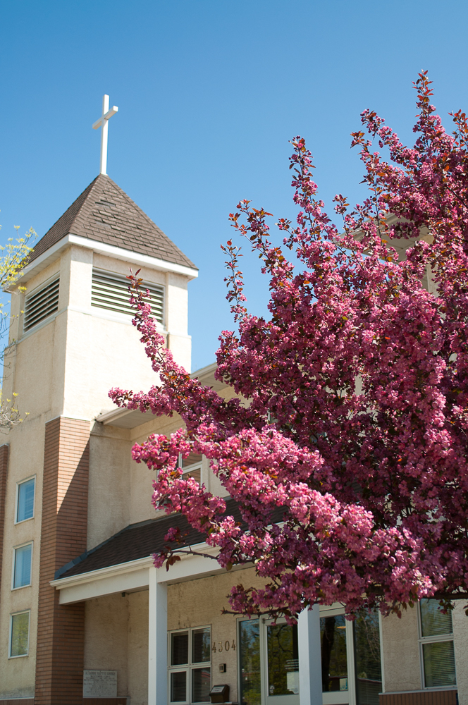 Altadore Baptist Church | 4304 16 St SW, Calgary, AB T2T 4H9, Canada | Phone: (403) 243-4304