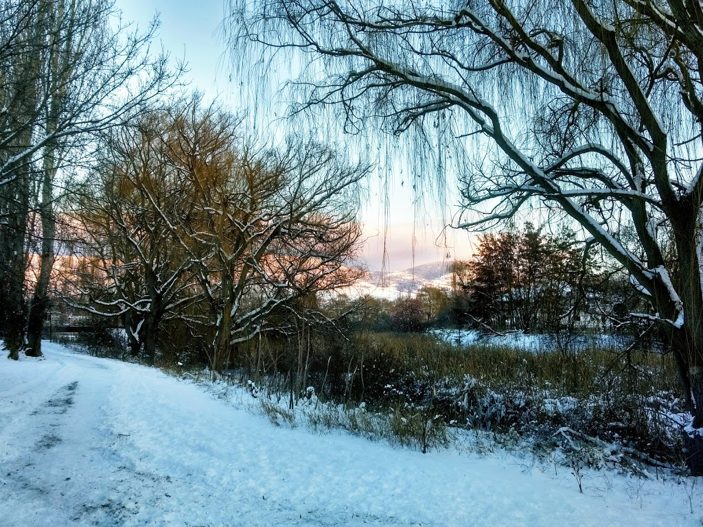 Chichester Wetland Park | 250 Sumac Rd W, Kelowna, BC V1X 6W8, Canada