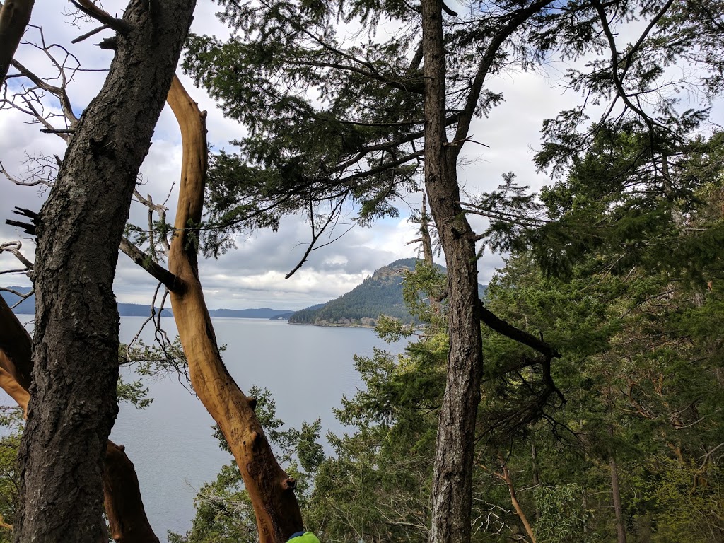 Obstruction Pass State Park | 860 Trailhead Rd, Olga, WA 98279, USA | Phone: (360) 902-8844
