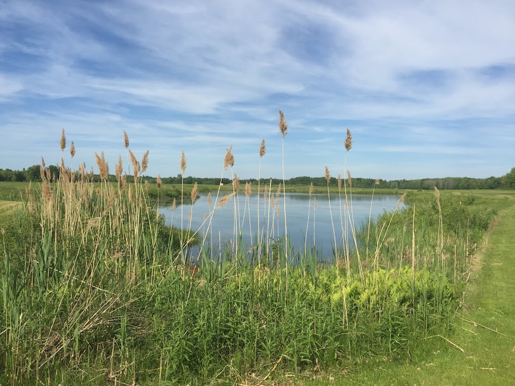 GreyHawk Golf Club | 4999 Boundary Rd, Navan, ON K4B 1P5, Canada | Phone: (613) 822-1454