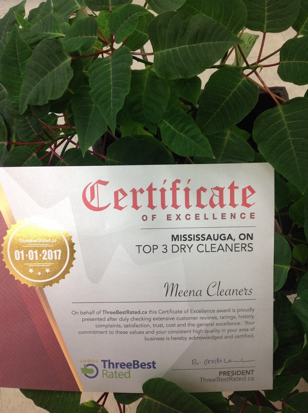 Meena Cleaners Dundas Mississauga. Drycleaners & Clothing Alteration Services | 755~777, Dundas St W, Mississauga, ON L5C 4P6, Canada | Phone: (905) 270-8941