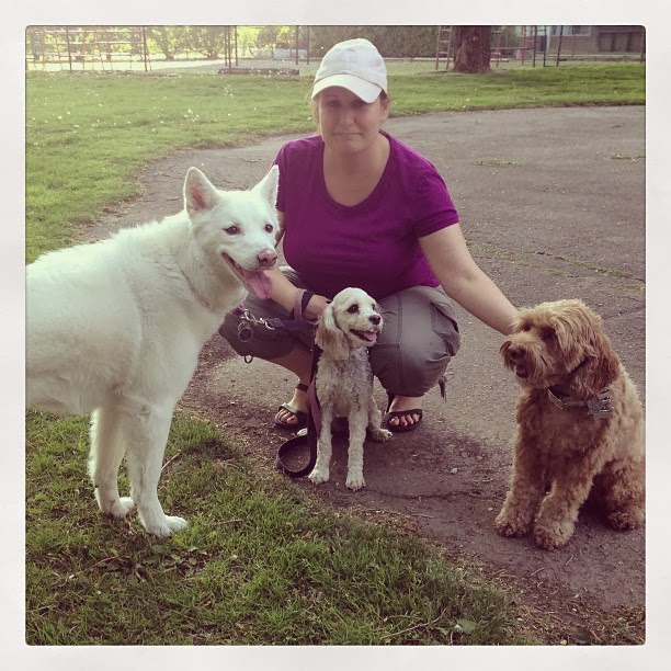 Oppawtunity Walks & Pet Sitting | 625 The West Mall, Etobicoke, ON M9C 4W9, Canada | Phone: (416) 997-7772