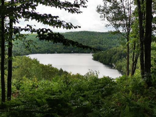 Abattage LUnik | 399 Chemin Fleurant, Lac-Supérieur, QC J0T 1J0, Canada | Phone: (819) 430-3639