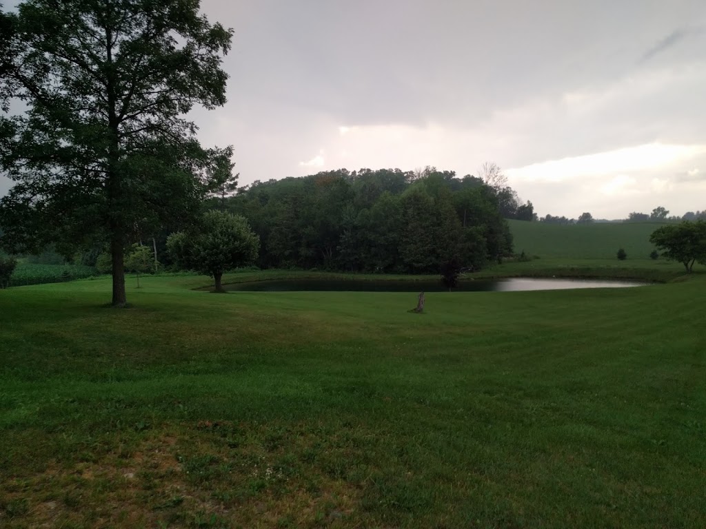 Pinehill Farms | 2662 Huron Rd, New Hamburg, ON N3A 3C9, Canada | Phone: (519) 897-7047