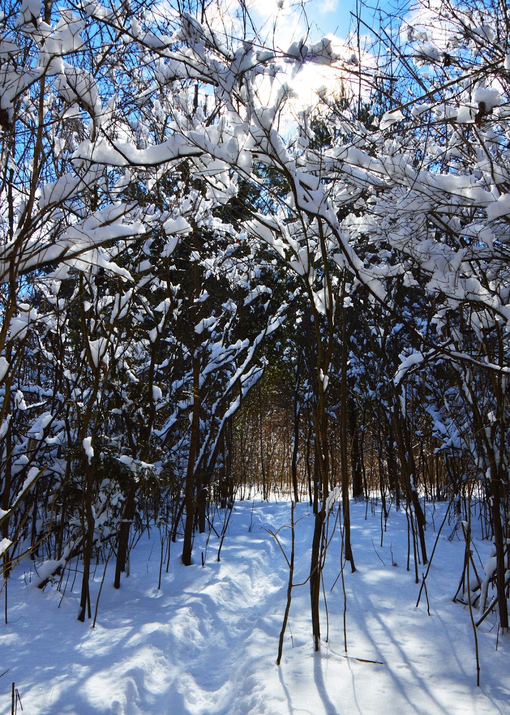 Marthaville Habitat Management Area | 4749 Marthaville Rd, Petrolia, ON N0N 1R0, Canada