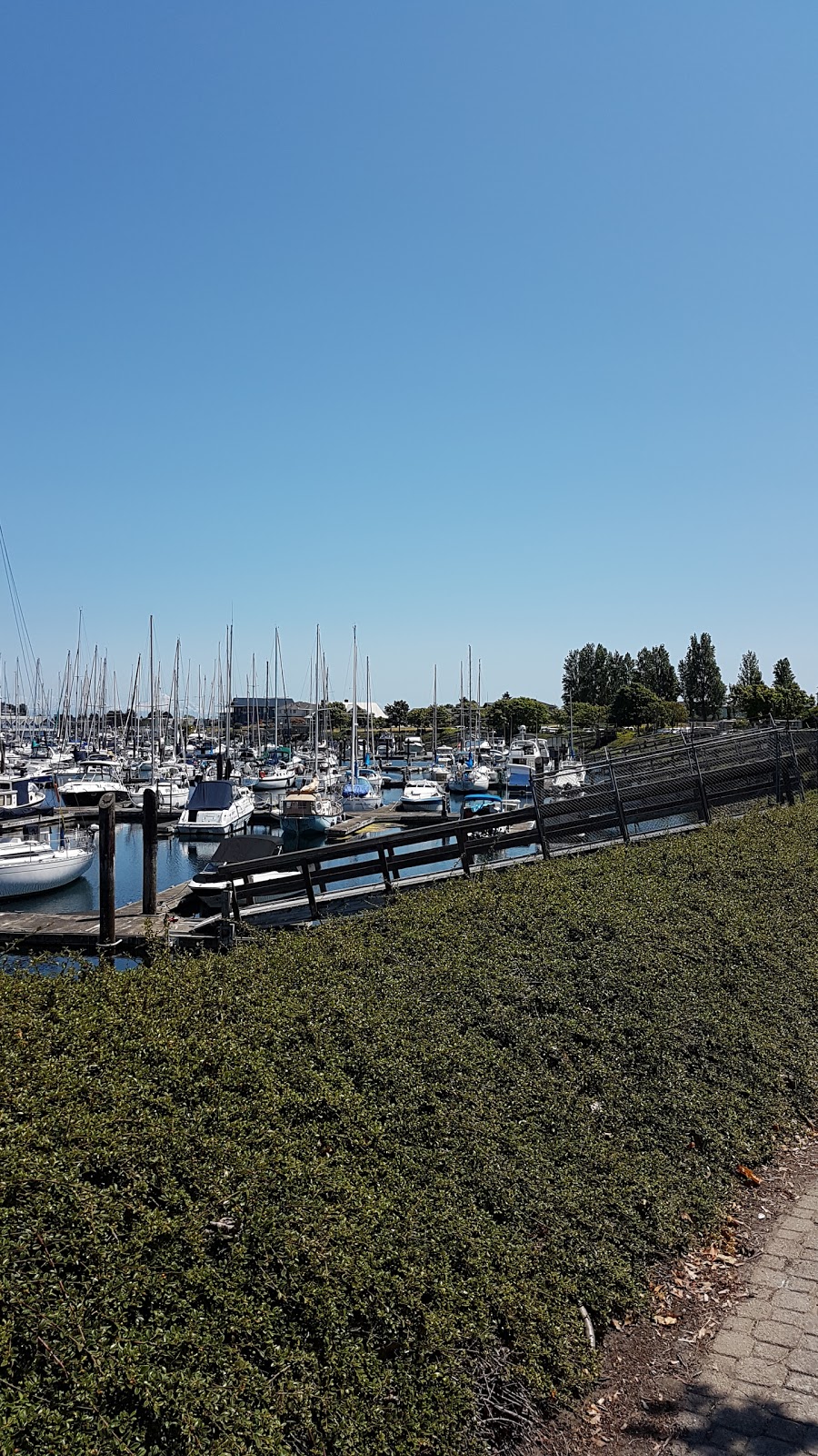 Chevron Point Roberts | 486 Tyee Dr, Point Roberts, WA 98281, USA | Phone: (360) 945-0828