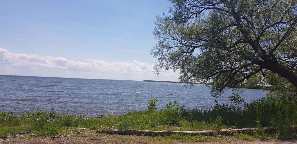 KS Lake Simcoe Ice Hut Rentals | 2520 Talbot Ln, Brechin, ON L0K 1B0, Canada | Phone: (905) 716-5732