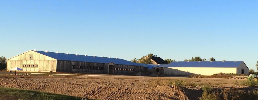 Meadowlarke Stables | 5154 3 Line, Acton, ON L7J 2L8, Canada | Phone: (800) 295-0419