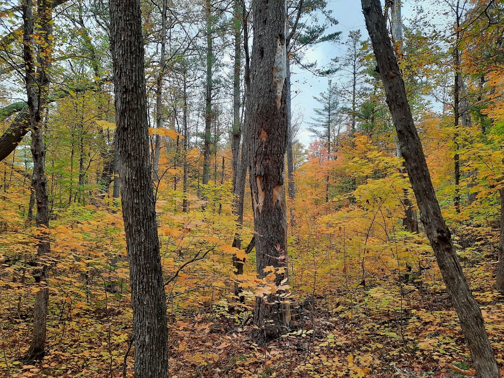 High Lonesome Nature Reserve | 867 Carbine Rd, Pakenham, ON K0A 2X0, Canada | Phone: (613) 253-2722
