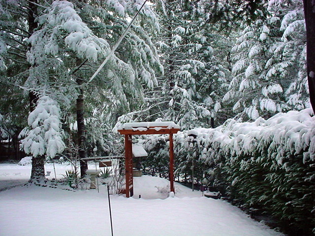 The Glen At Maple Falls | 7159 Mt Baker Hwy, Deming, WA 98244, USA | Phone: (360) 599-2454