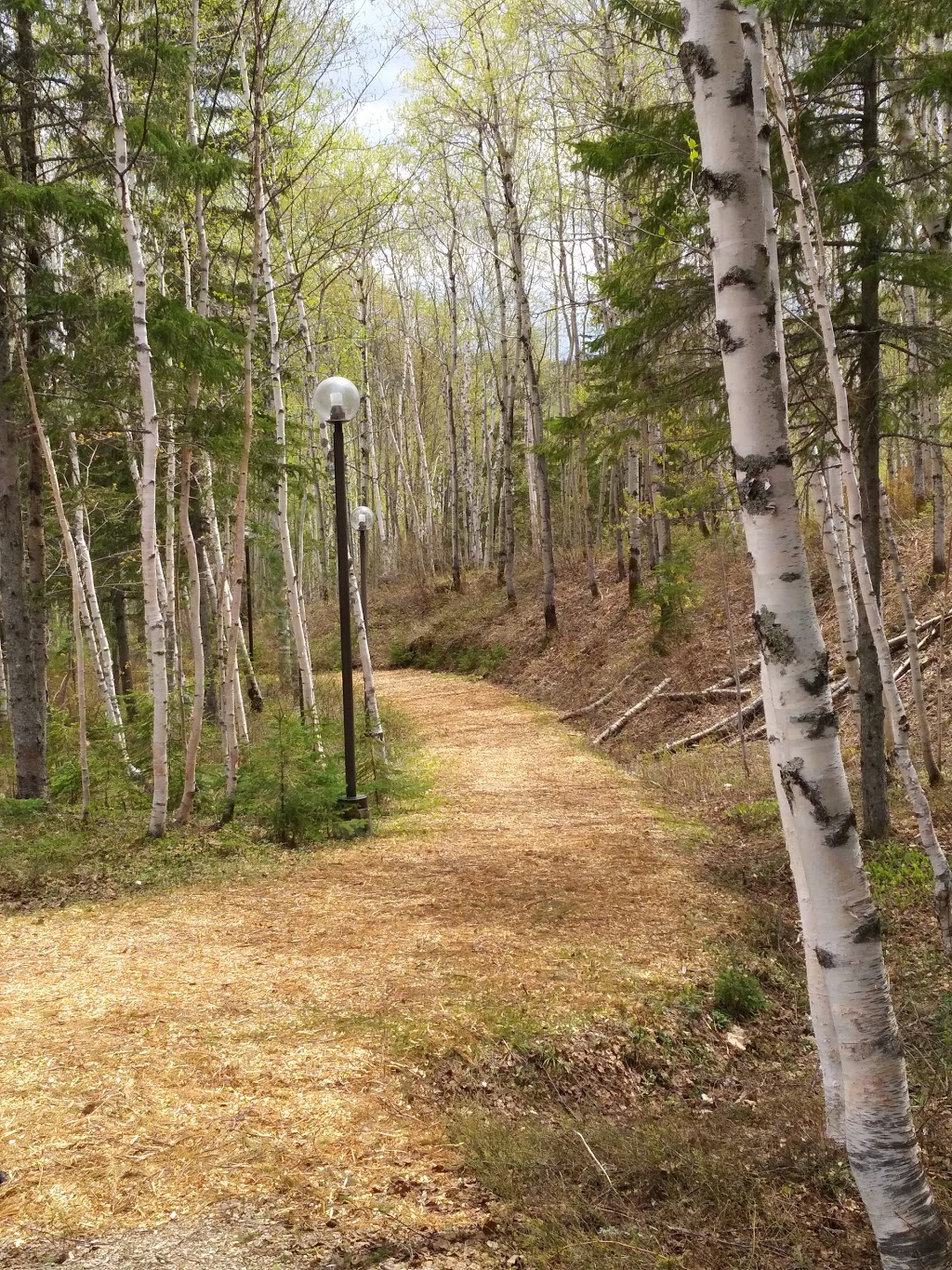 Monastère des Petits Frères de la Croix | 125 Rang Sainte Philomene, La Malbaie, QC G5A 2B5, Canada | Phone: (418) 439-4611