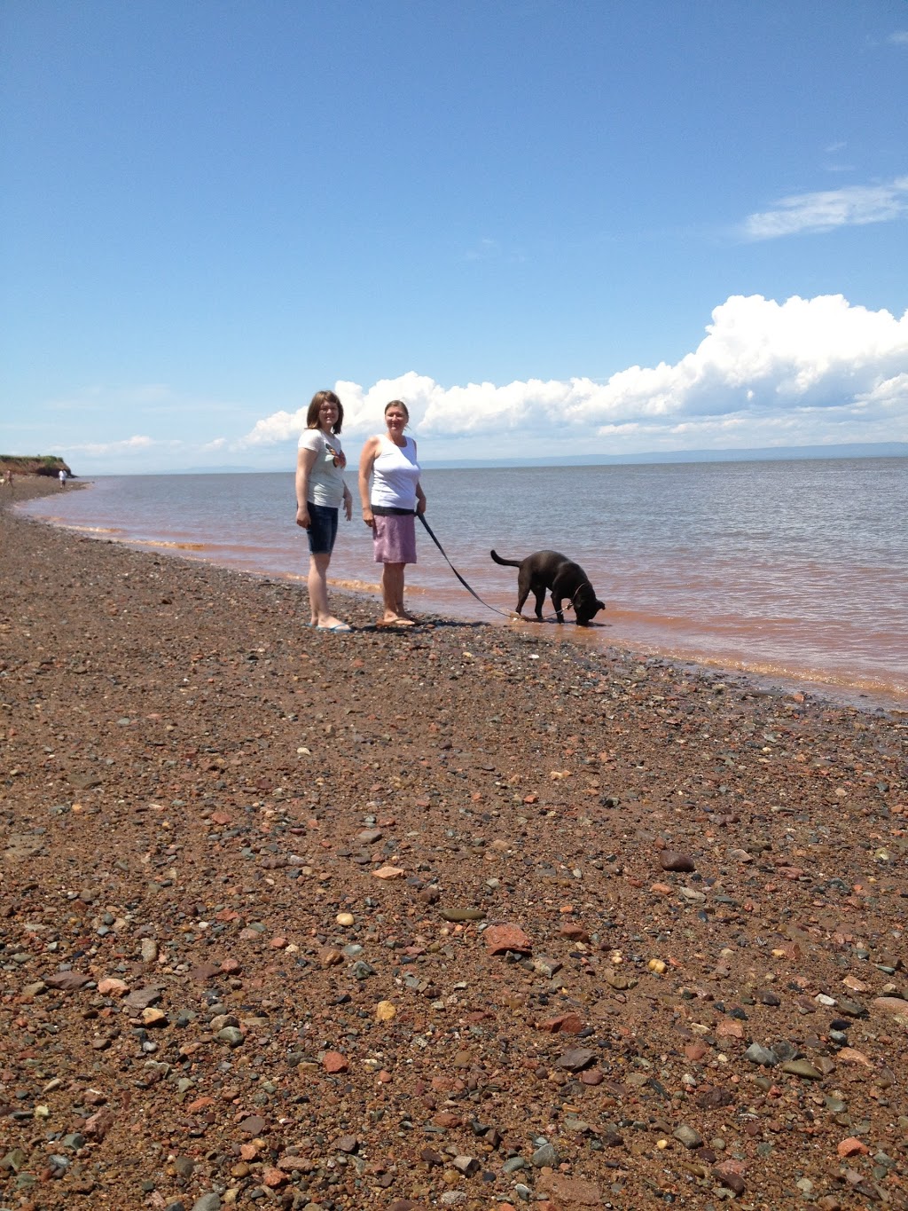 Anthony Provincial Park | 6889 NS-215, Maitland, NS B0N 1T0, Canada