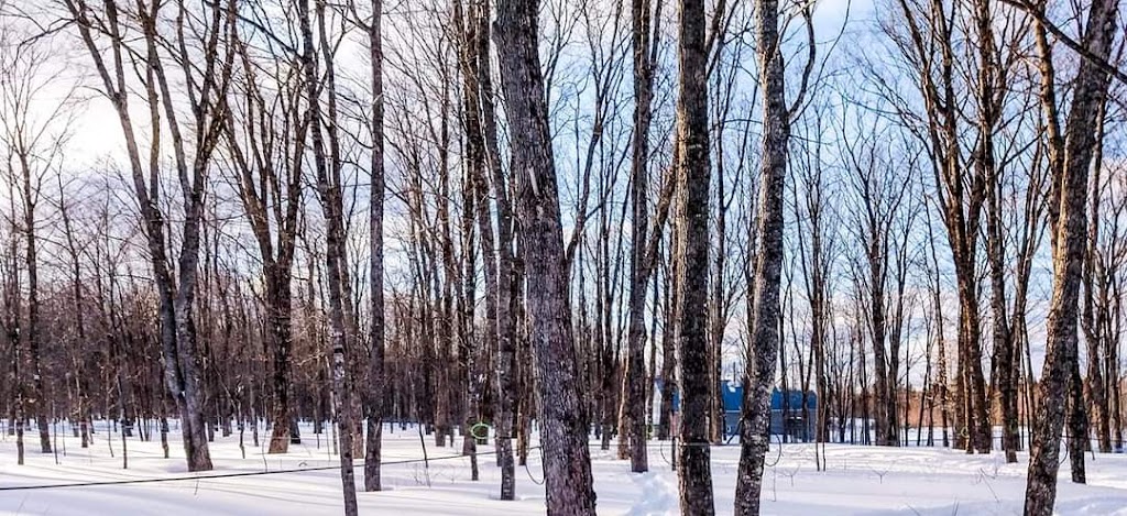 Cabane à Sucre Paquet & fils | 88 Rang Saint-Jean-Baptiste, Sainte-Aurélie, QC G0M 1M0, Canada | Phone: (418) 957-3739