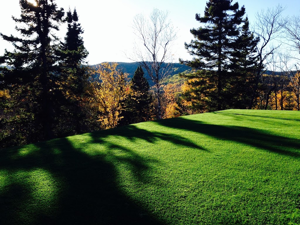 SGC Synthetic Grass & Composite | 1670 Rue Semple, Québec, QC G1N 4R9, Canada | Phone: (800) 742-9169