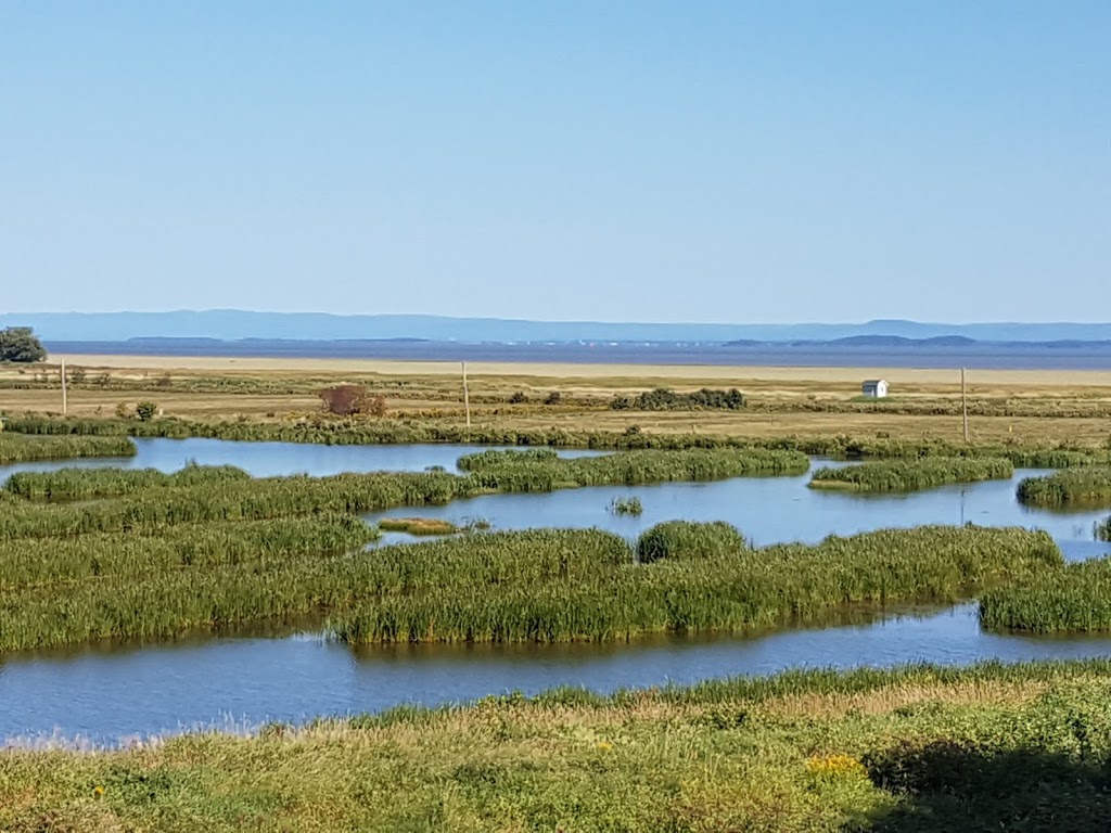 Cap Tourmente National Wildlife Area | Cap Tourmente National Wildlife Area, 570 Chemin du Cap Tourmente, Saint-Joachim, QC G0A 3X0, Canada | Phone: (418) 827-4591