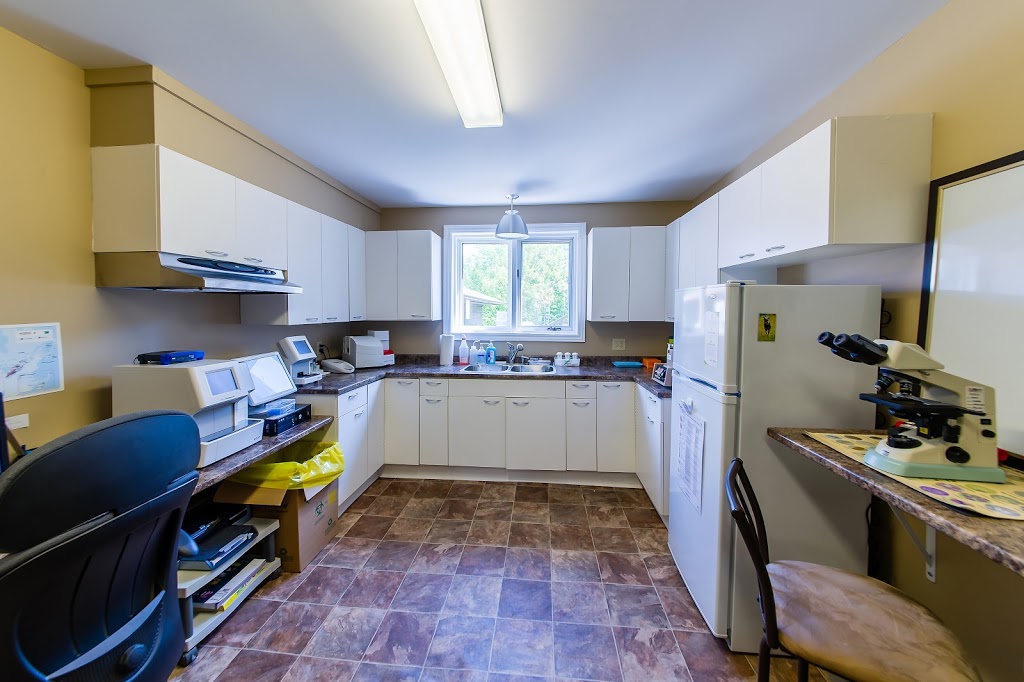 Lockerby Animal Hospital | 2178 Armstrong St, Sudbury, ON P3E 5G9, Canada | Phone: (705) 522-4555