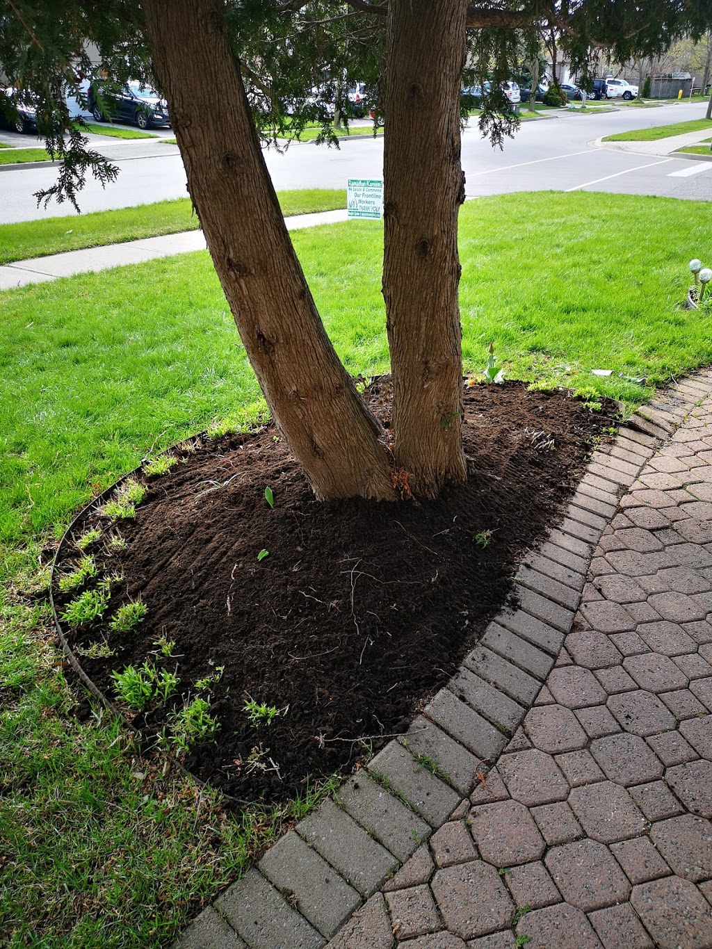 PasKo Property Maintenance | 687 King St W, Oshawa, ON L1J 2L2, Canada | Phone: (905) 809-9612