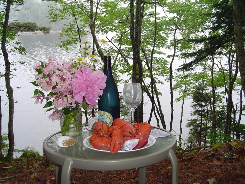 Boulder Cove Cottages | 119 Boulder Cove Rd E, Shelburne, NS B0T 1W0, Canada | Phone: (902) 875-1542