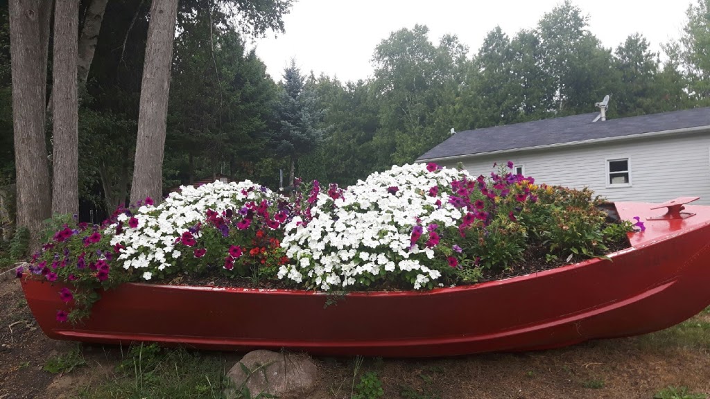 Ponderosa Campground | 19332 ON-48, Mount Albert, ON L0G 1M0, Canada | Phone: (905) 473-2607