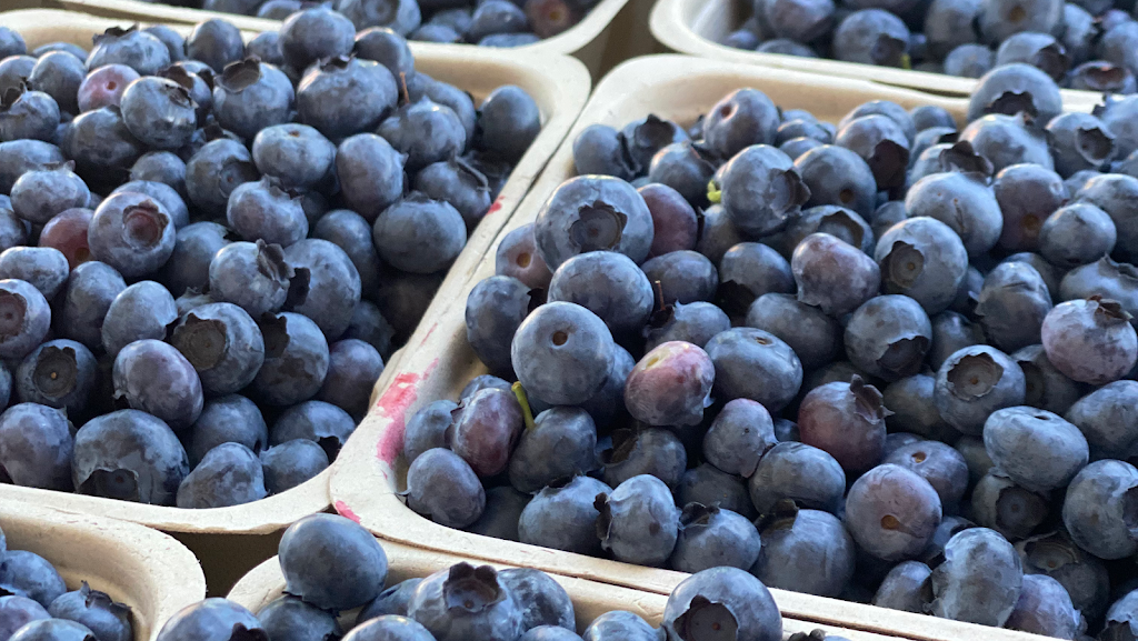 Glenmore Farms | 5528 Glenmore Rd, Abbotsford, BC V4X 1W1, Canada | Phone: (604) 751-3322