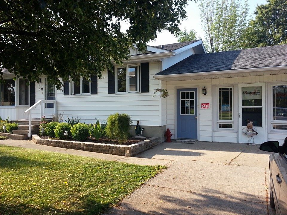 Jens Dog Grooming Salon | 571 Erie St, Wyoming, ON N0N 1T0, Canada | Phone: (519) 845-3596