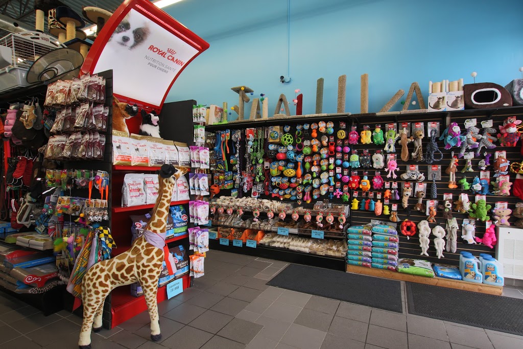 Animalerie du Grand Boisé | 1410 Chemin de Saint-Jean, La Prairie, QC J5R 2L7, Canada | Phone: (450) 907-7772