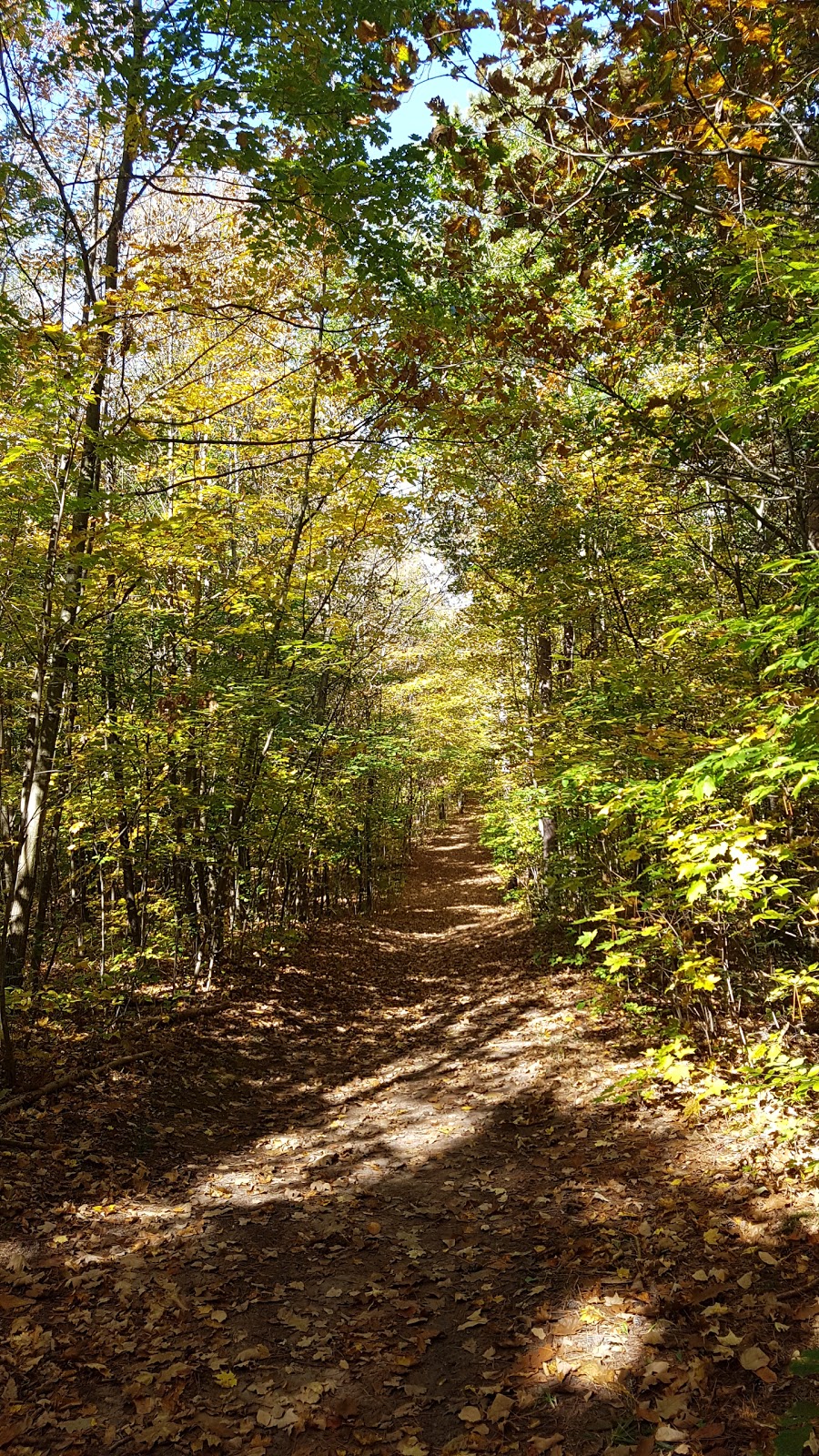 Dainty Tract | of, 15182 McCowan Rd, Whitchurch-Stouffville, ON L4A 7X5, Canada