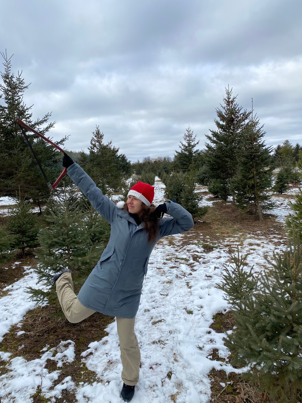 Pinedale Christmass Tree Farm. | point of interest | 1656 Concession Rd 6 W, Rockton, ON L0R 1X0, Canada | 9055416891 OR +1 905-541-6891