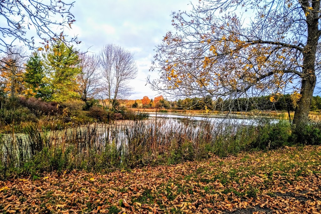 Little Cataraqui Creek Conservation Area - 1641 Perth Rd, Glenburnie ...