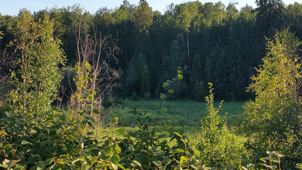 Bilby Natural Area | Range Rd 14, Onoway, AB T0E 1V0, Canada | Phone: (780) 960-8170