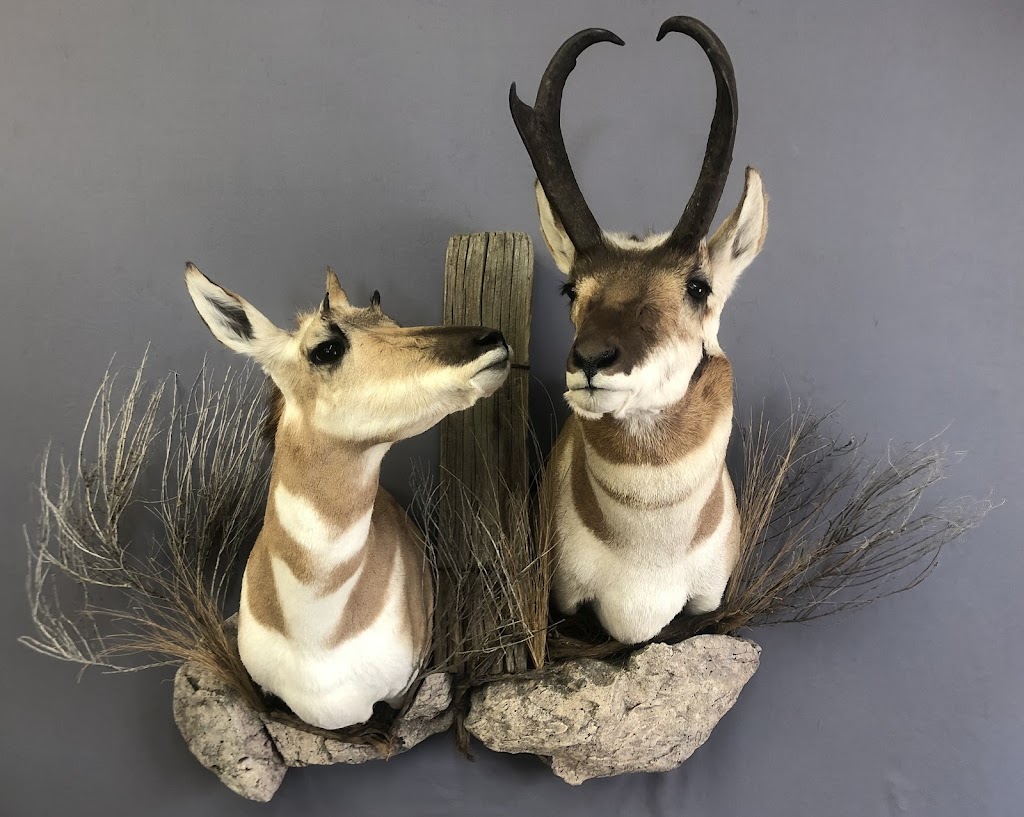 Extreme Taxidermy | 10379 109 Ave, Westlock, AB T7P 1G8, Canada | Phone: (780) 349-5412