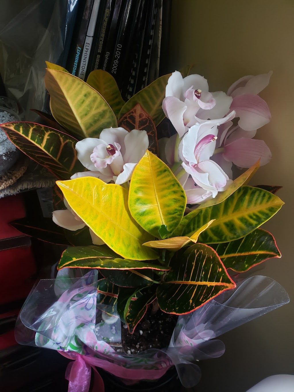 Gibsons Florist | 900 Gibsons Way, Sunnycrest Mall Unit 7, Gibsons, BC V0N 1V7, Canada | Phone: (604) 886-7795