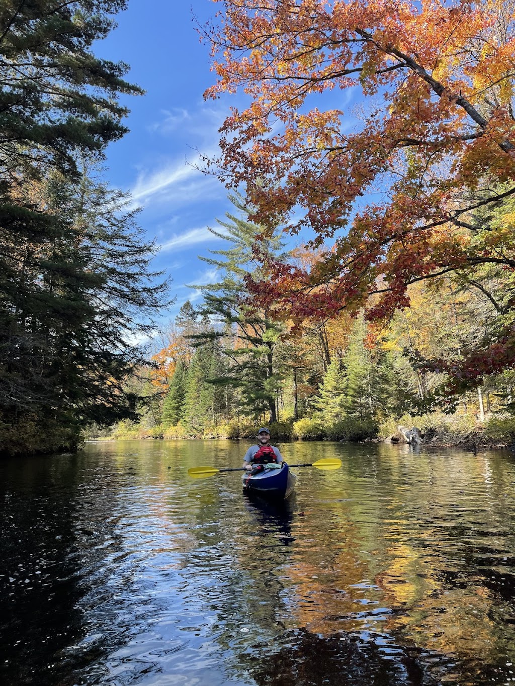 Deep Roots Adventure | 4071 Elephant Lake Rd Unit C, Harcourt, ON K0L 1M1, Canada | Phone: (705) 854-0628