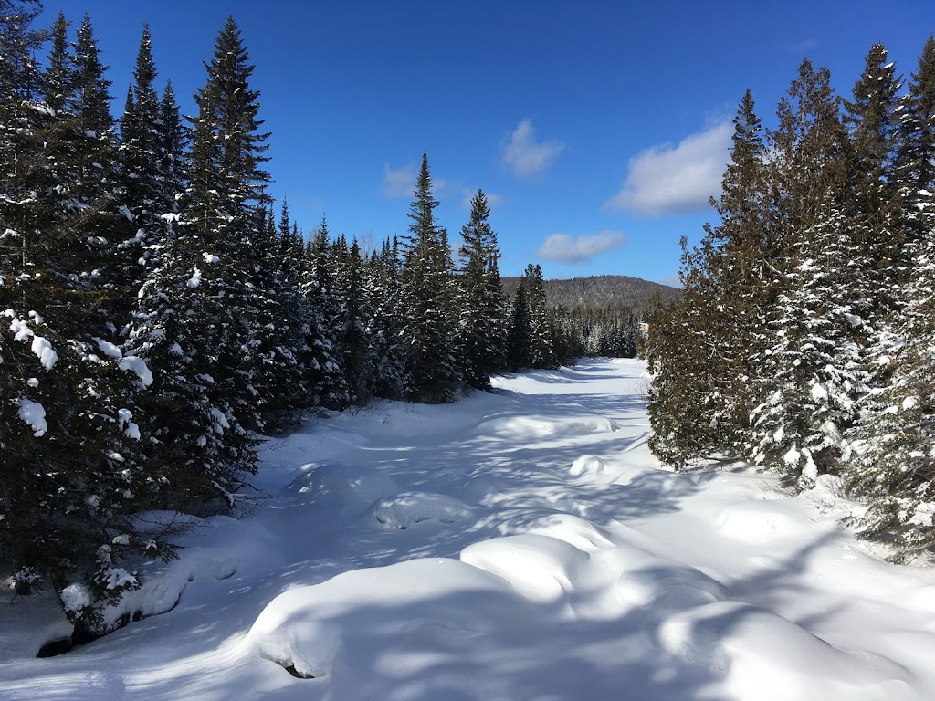 Arctic Aventure | 645 Chem. Masson, Sainte-Marguerite-du-Lac-Masson, QC J0T 1L0, Canada | Phone: (450) 228-3181