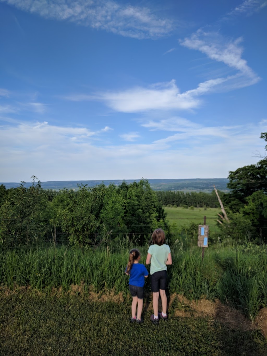 Epping Lookout Conservation Area | Eric Winkler Pkwy, Grey Highlands, Ontario, Canada, Grey Highlands, ON N0C 1G0, Canada | Phone: (519) 376-3076
