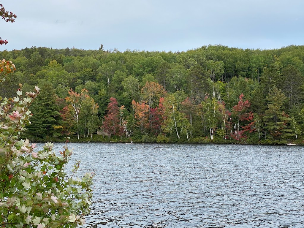 Spectacle Lake Lodge | Spectacle Lake Rd, Barrys Bay, ON K0J 1B0, Canada | Phone: (800) 567-4044