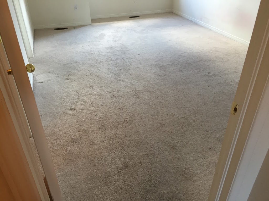 Organic Green Carpet And Upholstery Steam Cleaning Professionals | 3311 Bathurst St, North York, ON M6A 2B5, Canada | Phone: (416) 473-7411
