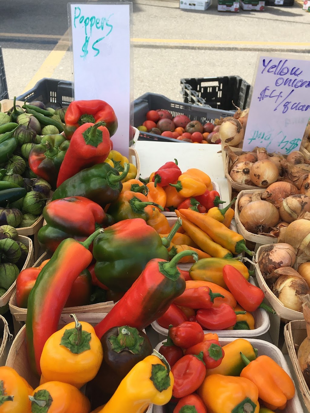 Rockwood Farmers Market | Rockmosa Dr., Guelph/Eramosa, ON N0B 2K0, Canada | Phone: (519) 831-3106