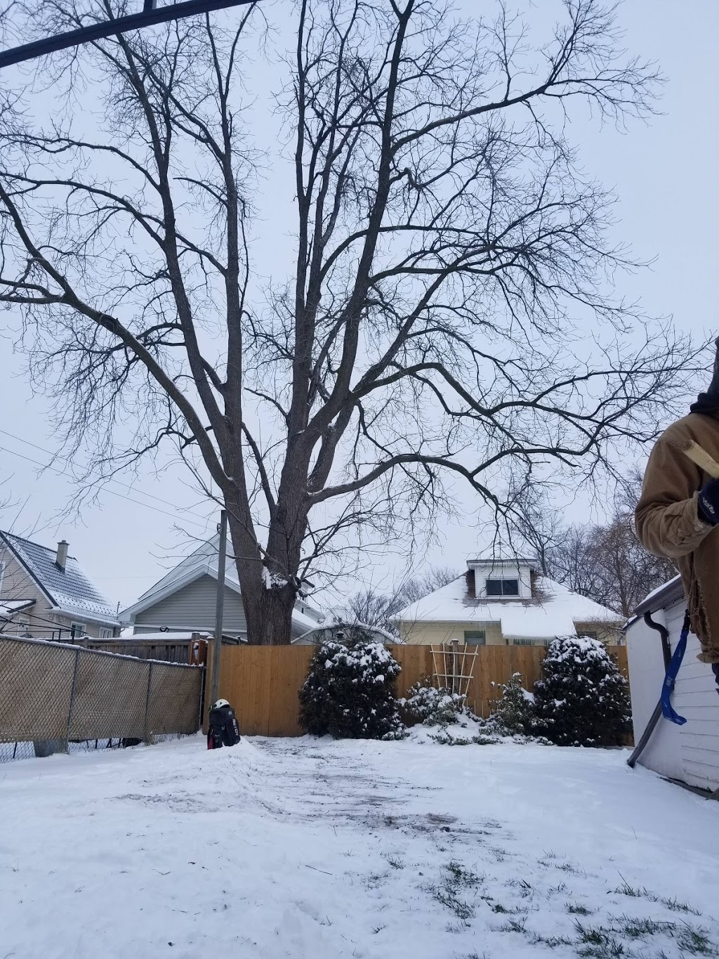 Driftwood Tree Service | 548 Wright St, Welland, ON L3B 2K5, Canada | Phone: (905) 329-0765