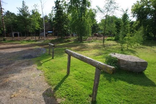 Le Domaine Équestre Gaïa - Centre équestre, pension pour chevaux | 100 Rang Saint-Pierre E, Sherrington, QC J0L 2N0, Canada | Phone: (514) 814-6848