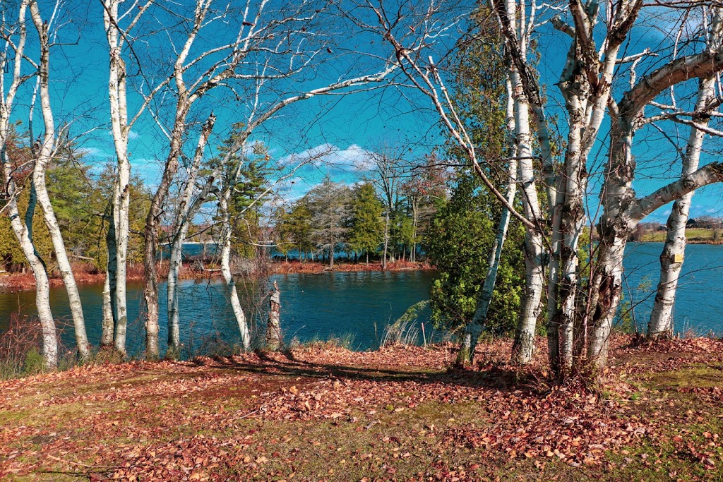 Summerland Rideau | 5118 Leo Lake Rd, Kingston, ON K0H, Canada | Phone: (613) 387-3275