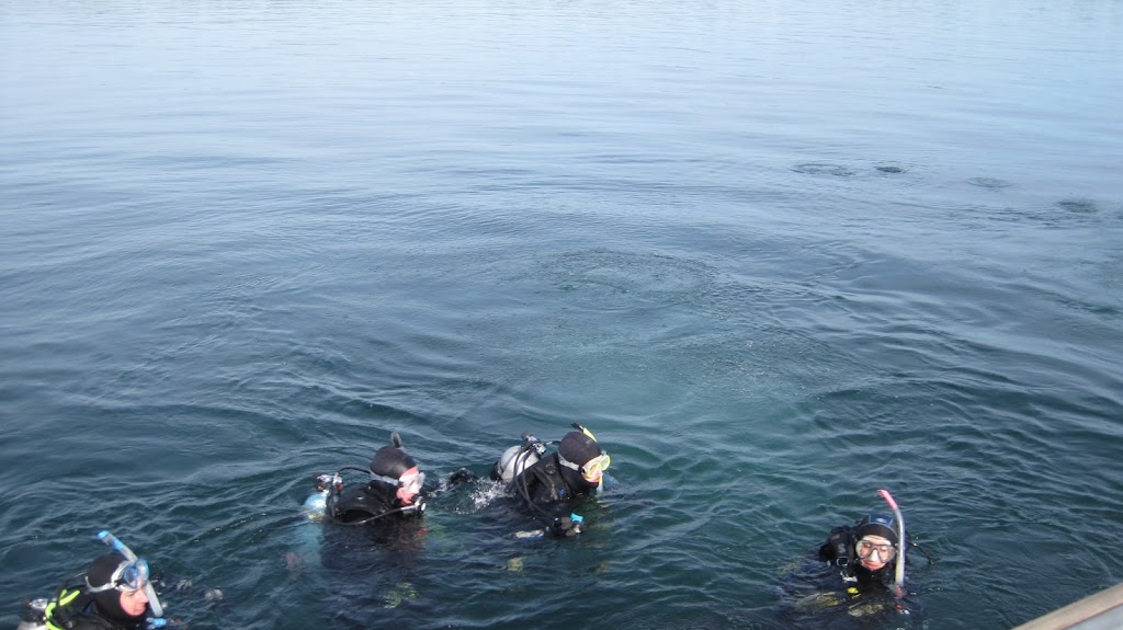 Bobs Scuba Shop | 220 1/2 Kenilworth Ave N, Hamilton, ON L8H 4S2, Canada | Phone: (905) 549-1043