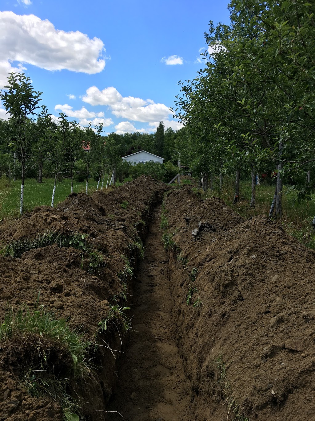 Jim Mini-excavation Inc. | 1644 Rue Principale, Granby, QC J2J 0S6, Canada | Phone: (450) 360-9669