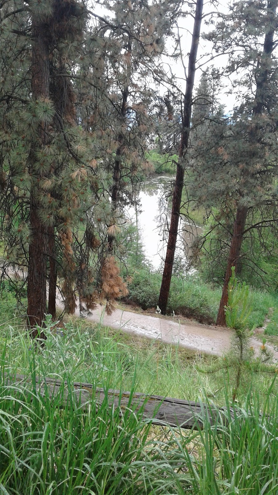 Gopher Creek Linear Park | 1723 Lynrick Rd, Kelowna, BC V1P 1E9, Canada