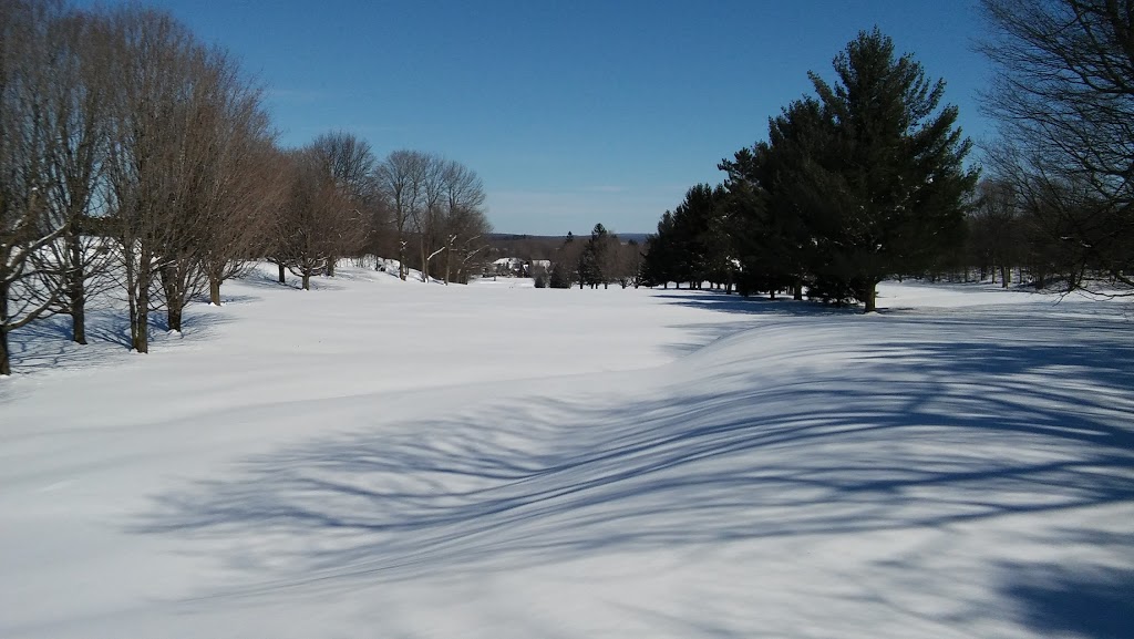 Club De Golf Miner | 30 Rue Long, Granby, QC J2G 6S8, Canada | Phone: (450) 372-4462