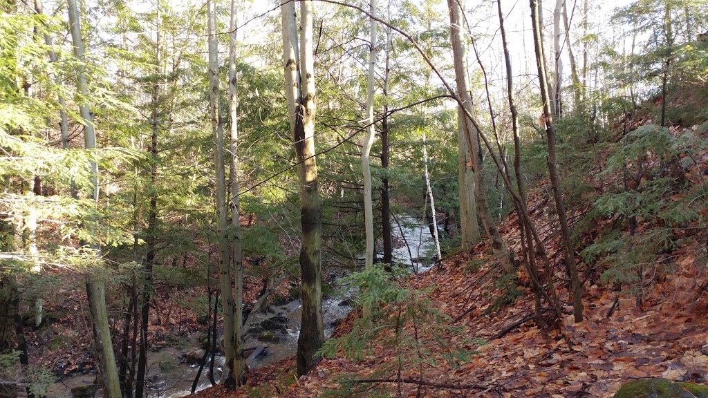 Parc J.-Marcel-Laflamme | Côte Rosemont, Trois-Rivières, QC G8Y 6J6, Canada
