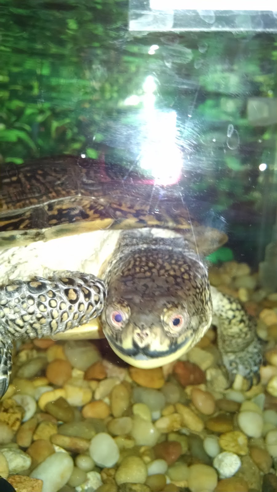 Nature Center | 31300 Metro Pkwy, Harrison Charter Township, MI 48045, USA | Phone: (586) 463-4332