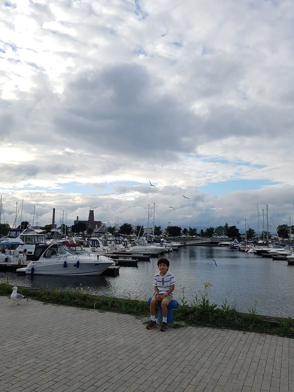 Vieux-Port Yachting | 155 Rue Dalhousie, Québec, QC G1K 4C5, Canada | Phone: (418) 692-0017