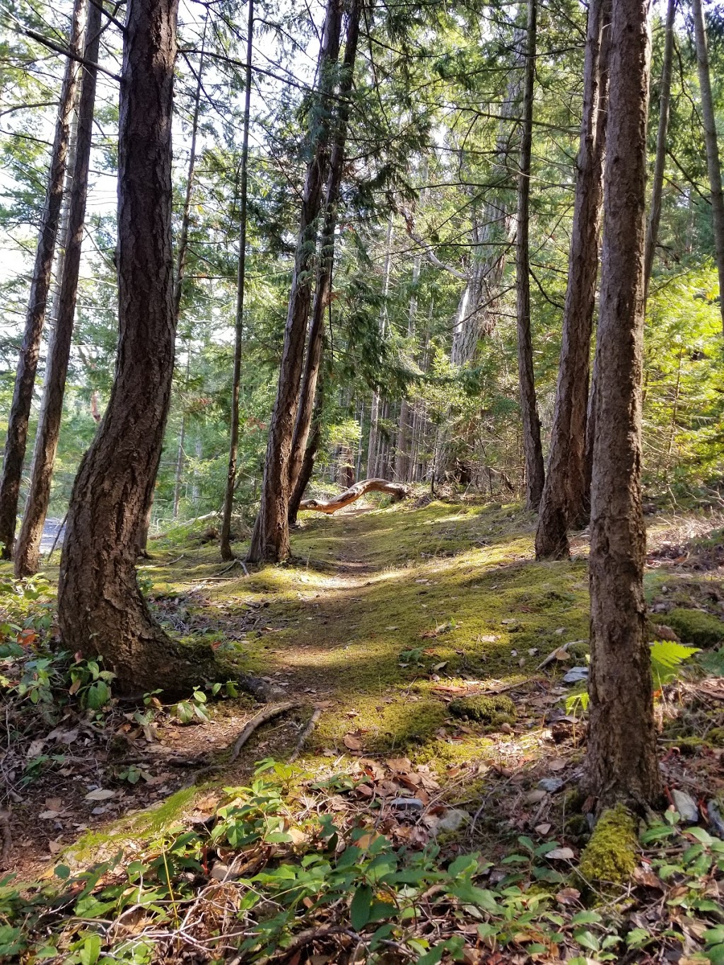 Moorecroft Regional Park | 1563 Stewart Rd, Nanoose Bay, BC V9P 9E7, Canada | Phone: (250) 248-3252